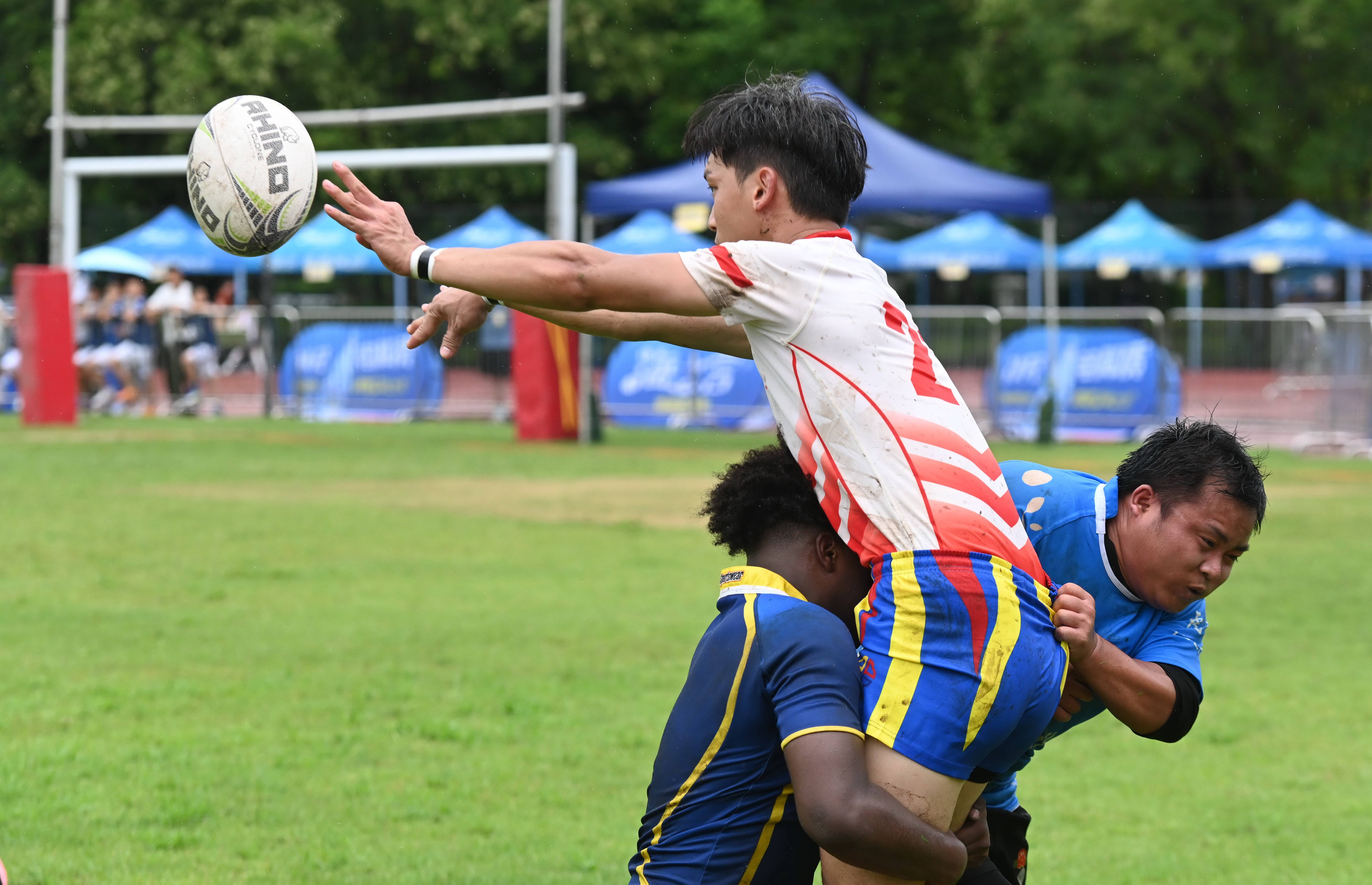 包含场面火爆！橄榄球观众席沸腾不已的词条