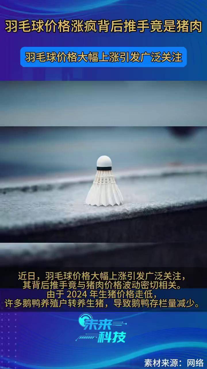 包含羽毛球热度飙升，网友热议不断的词条