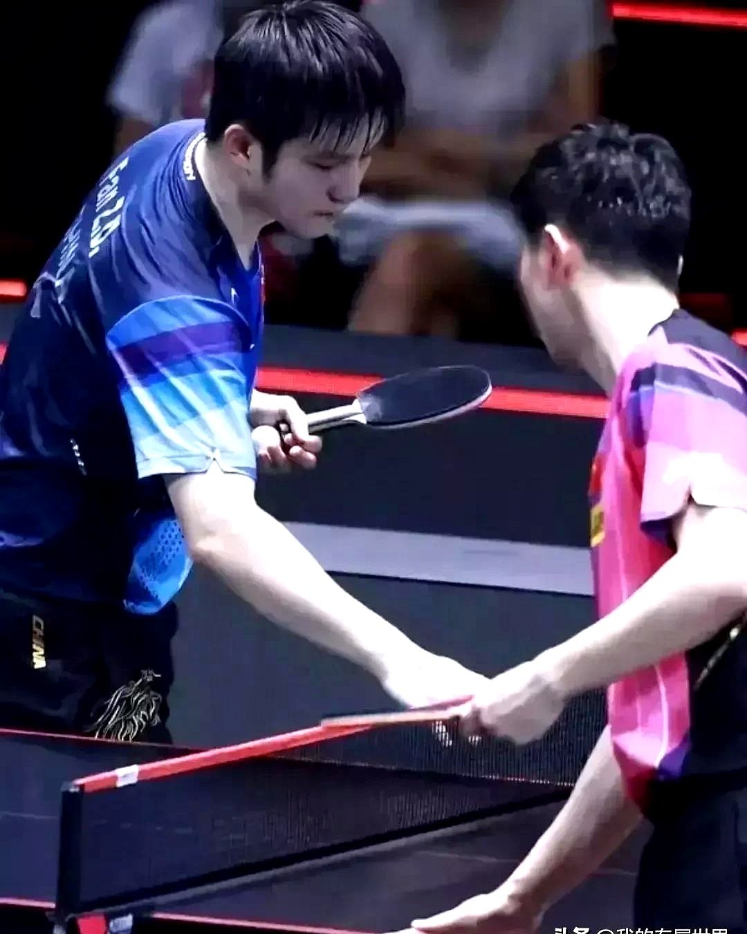 波兰队横扫中国队,马龙关键制胜 波兰队横扫中国队,马龙关键制胜