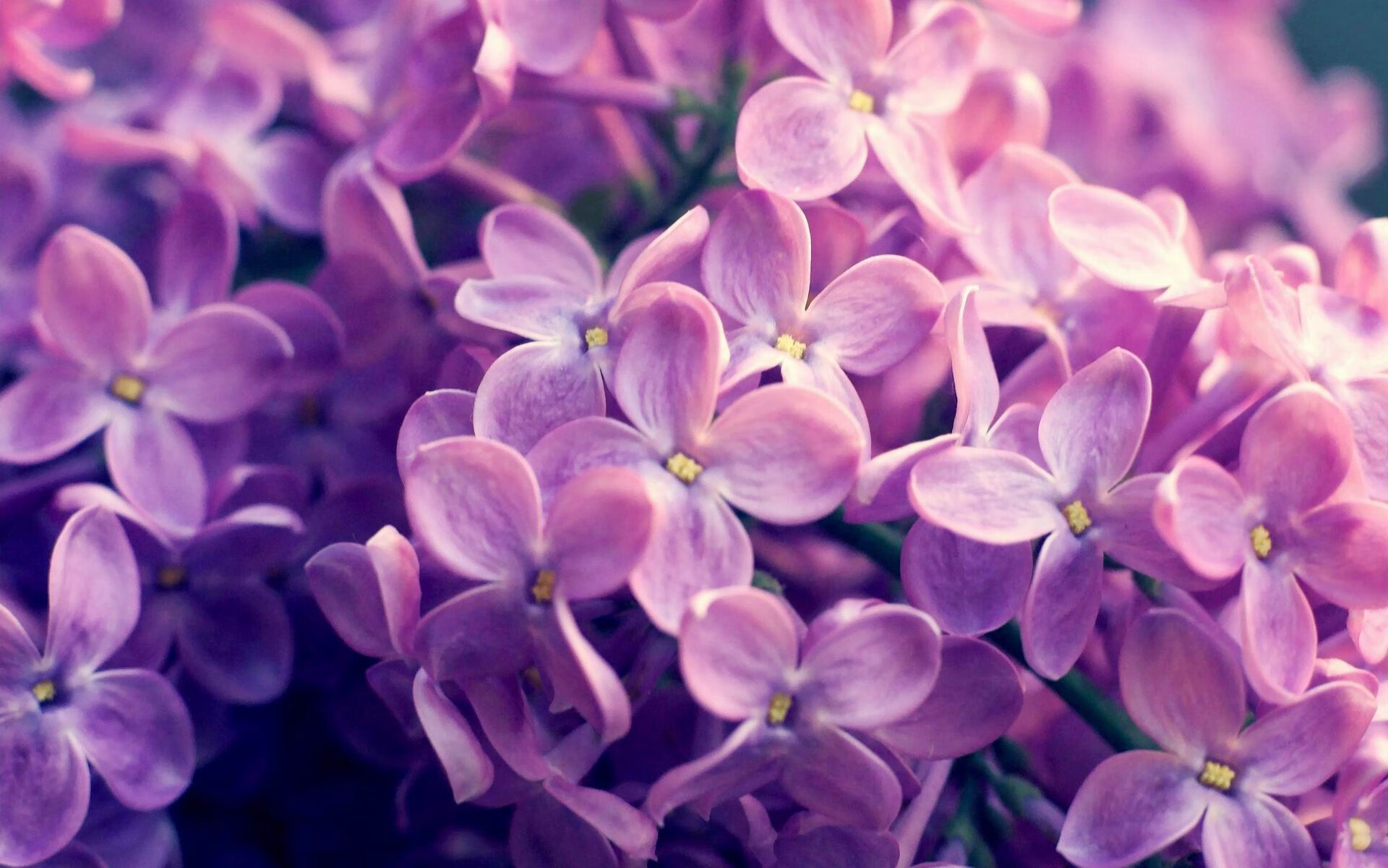 巅峰十二小时，当诺伊尔扑出点球时，哈登投出了那记三分