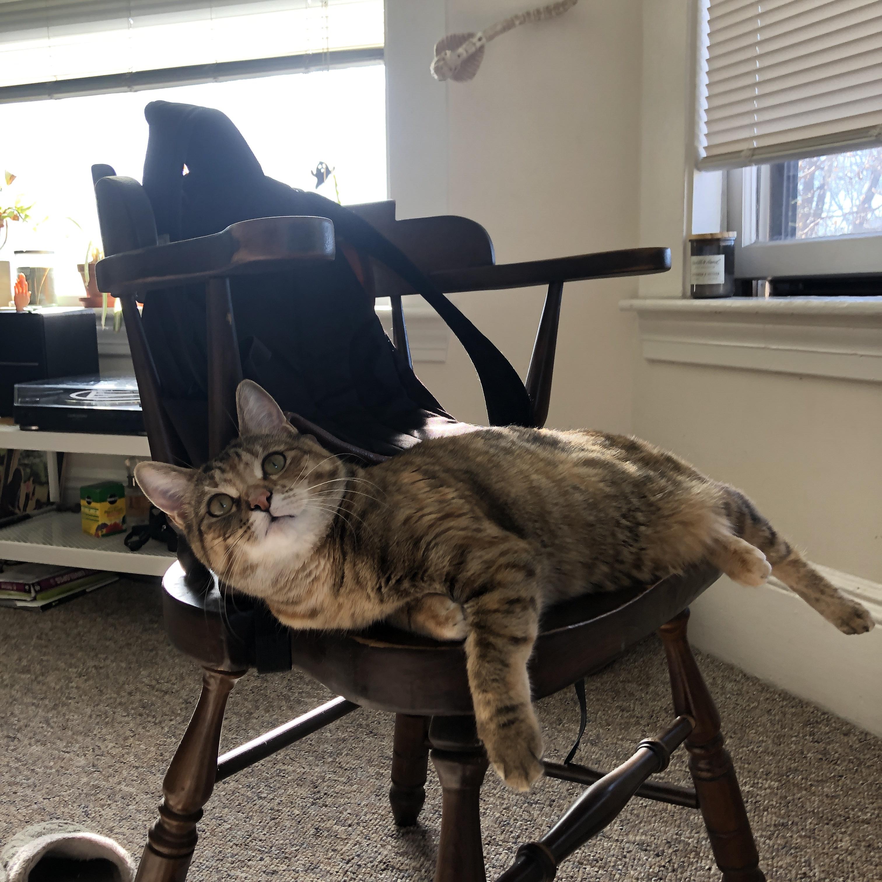 魔术师空砍史上次助攻！奇才铁壁让步行者数据狂欢夜沦为背景