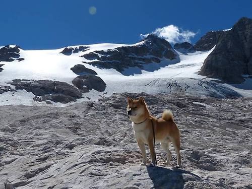 日本使节在元老院拔刀，莫德里奇在伯纳乌起舞