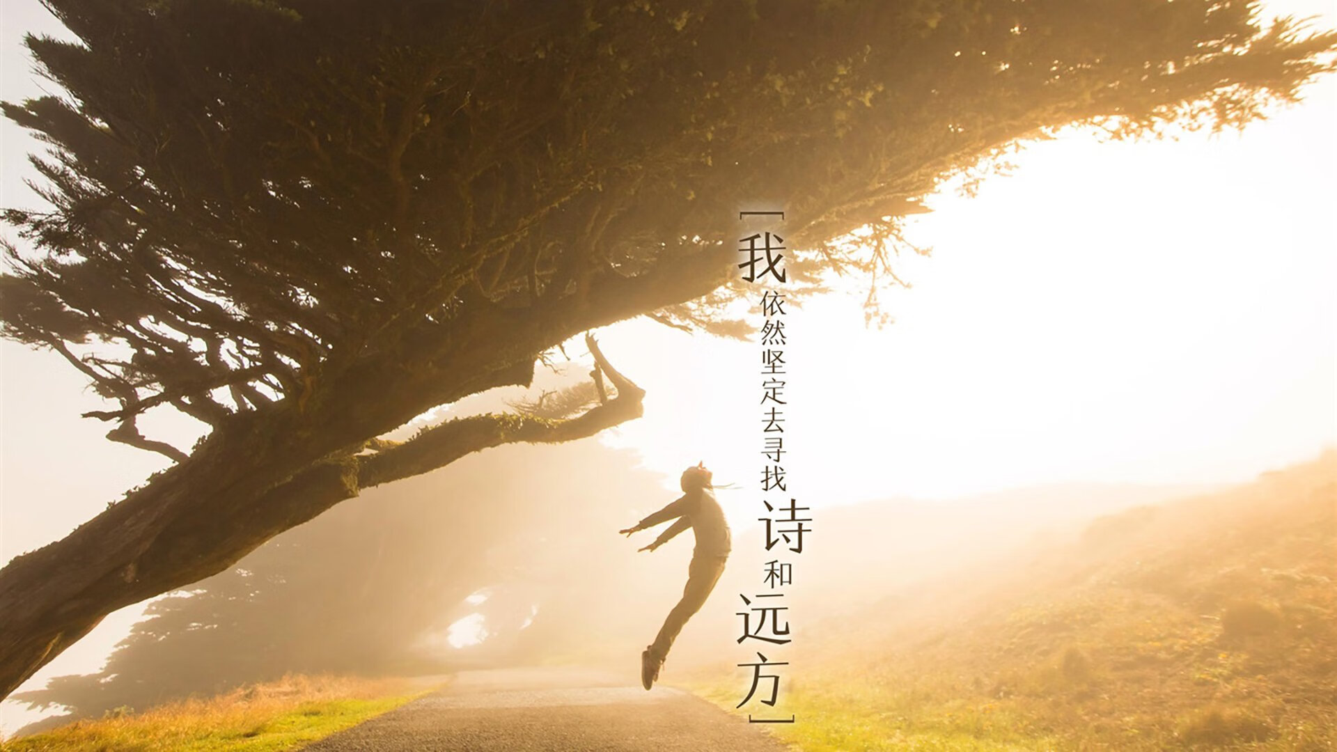 维也纳森林的战术课,当北欧海盗撞上铁血猎手,凯恩的孤勇与奥地利的完美陷阱