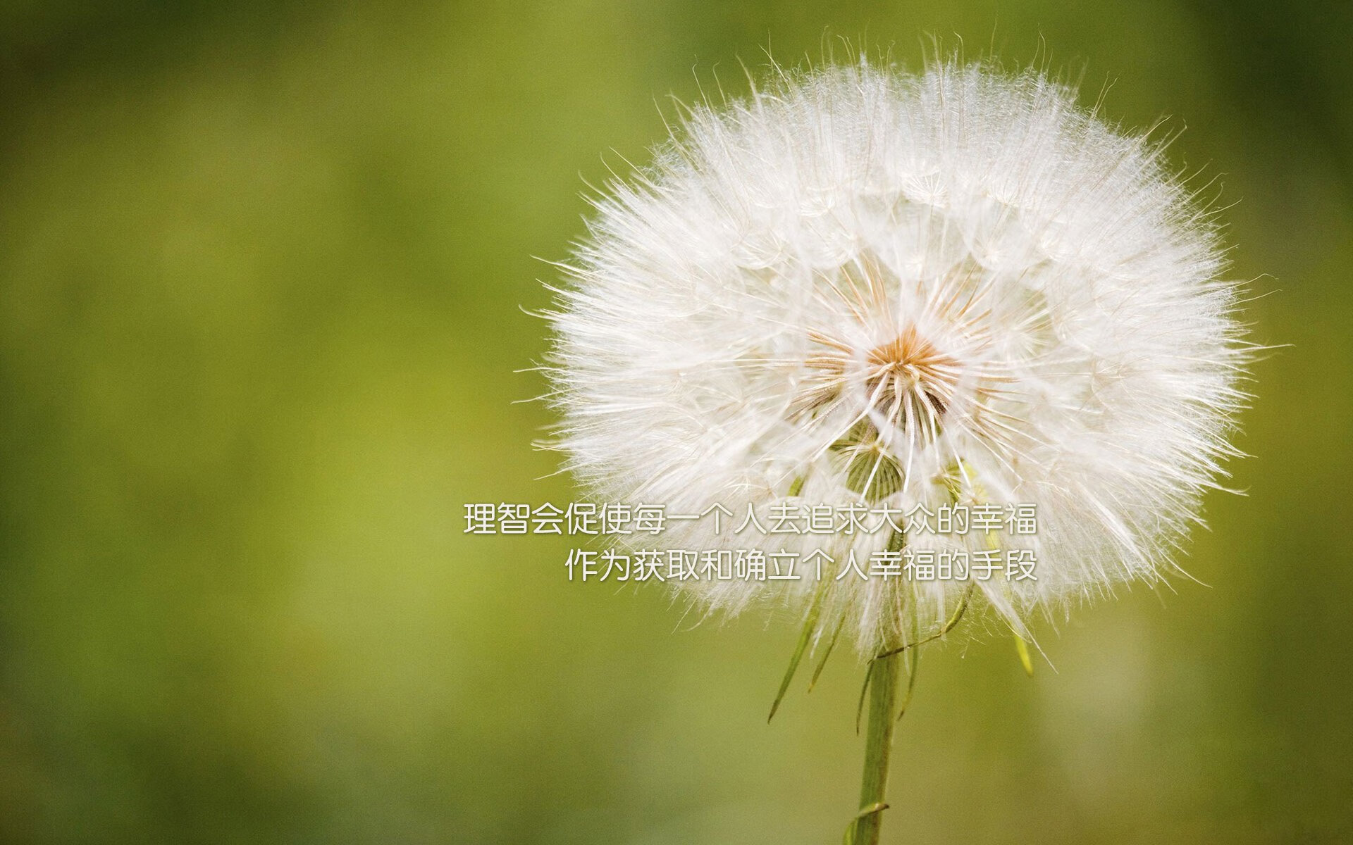 以下是为你构思的文章标题和正文
