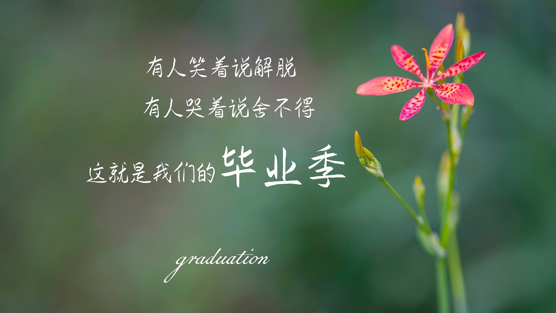 当加纳铁骑踏破巴尔干防线,拉什福德领衔的完美风暴,如何将一场头名之争化为碾压式宣言